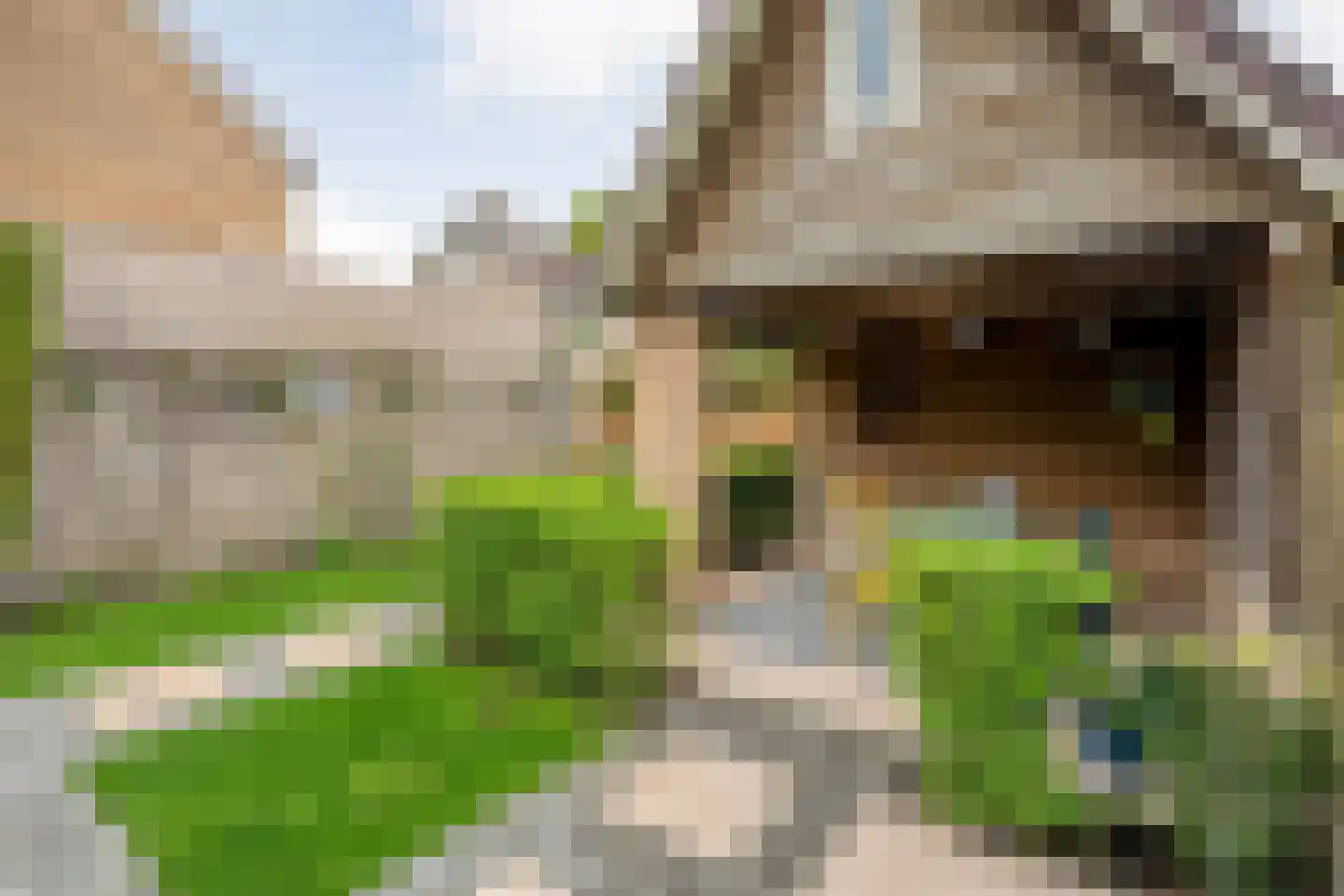 Merelstraat 87 Ommen thumbnail 59