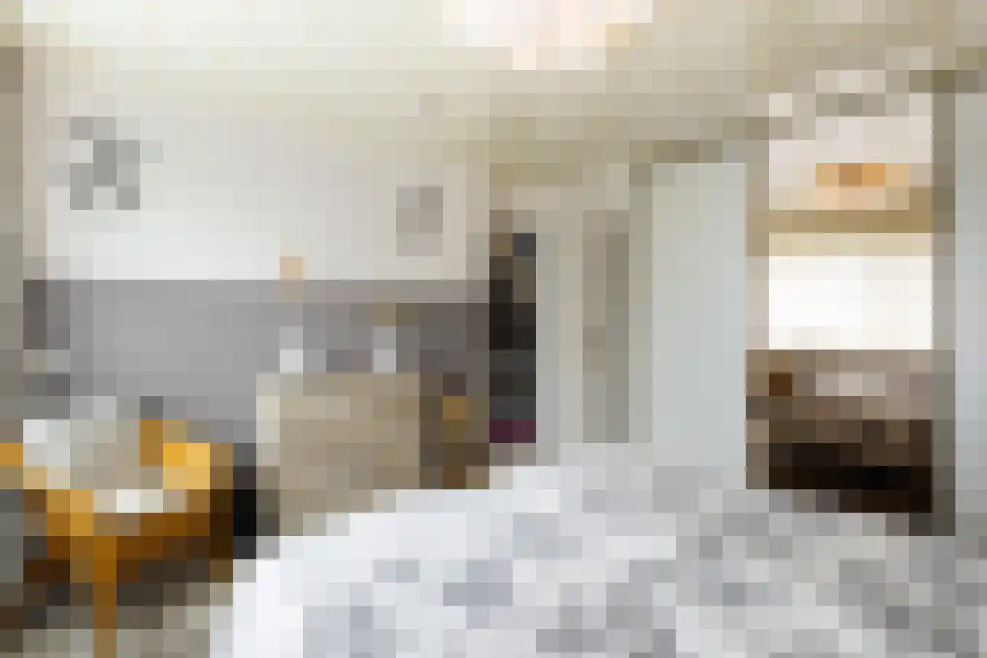 Merelstraat 9 Sliedrecht thumbnail 16