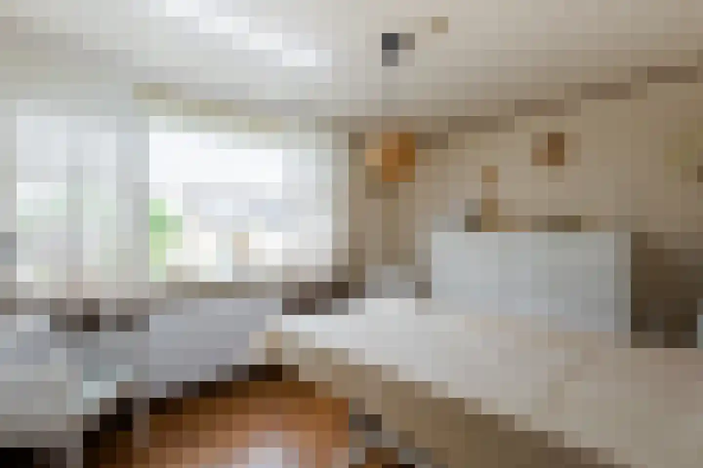 Merelstraat 9 Sliedrecht thumbnail 17