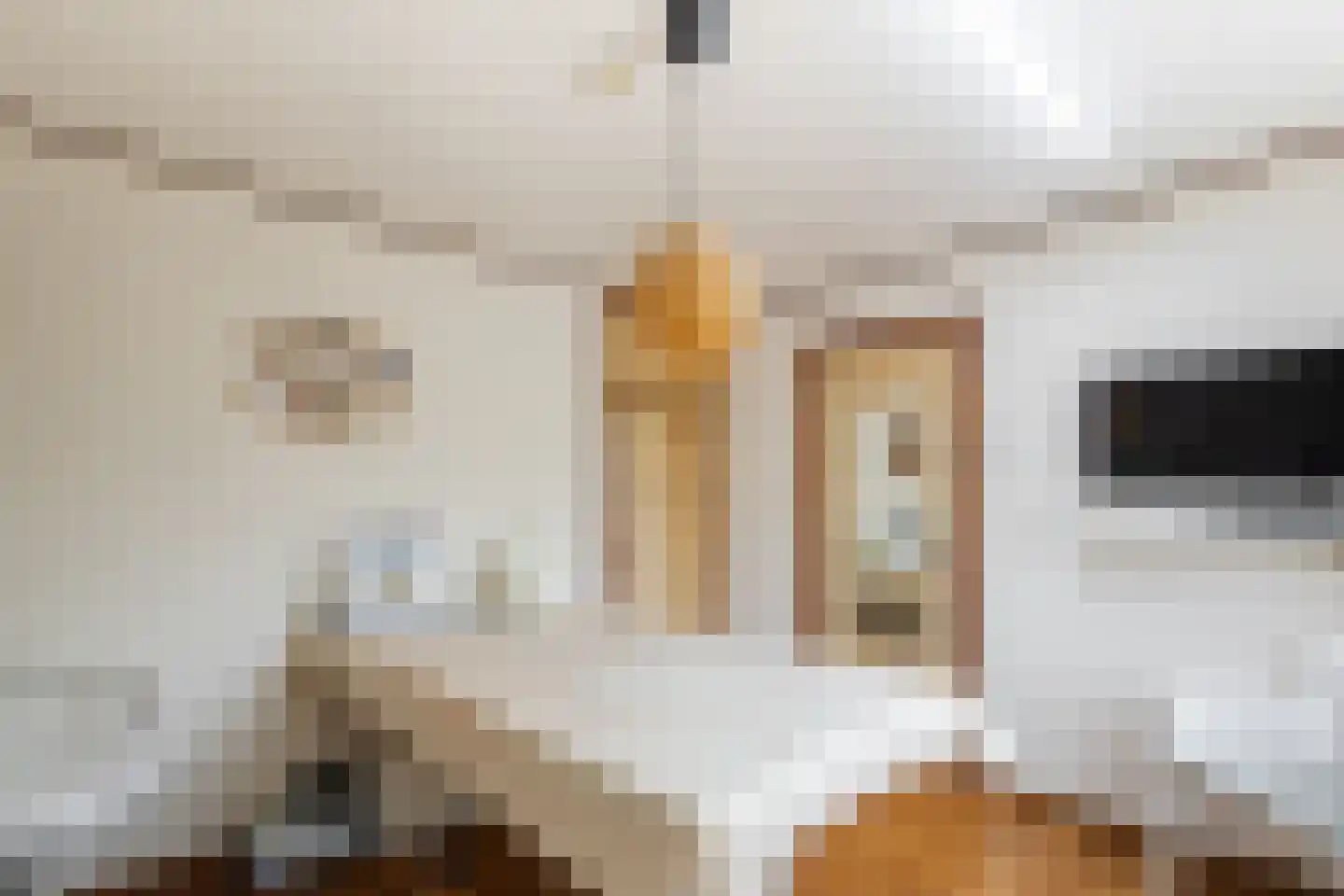 Merelstraat 9 Sliedrecht thumbnail 18