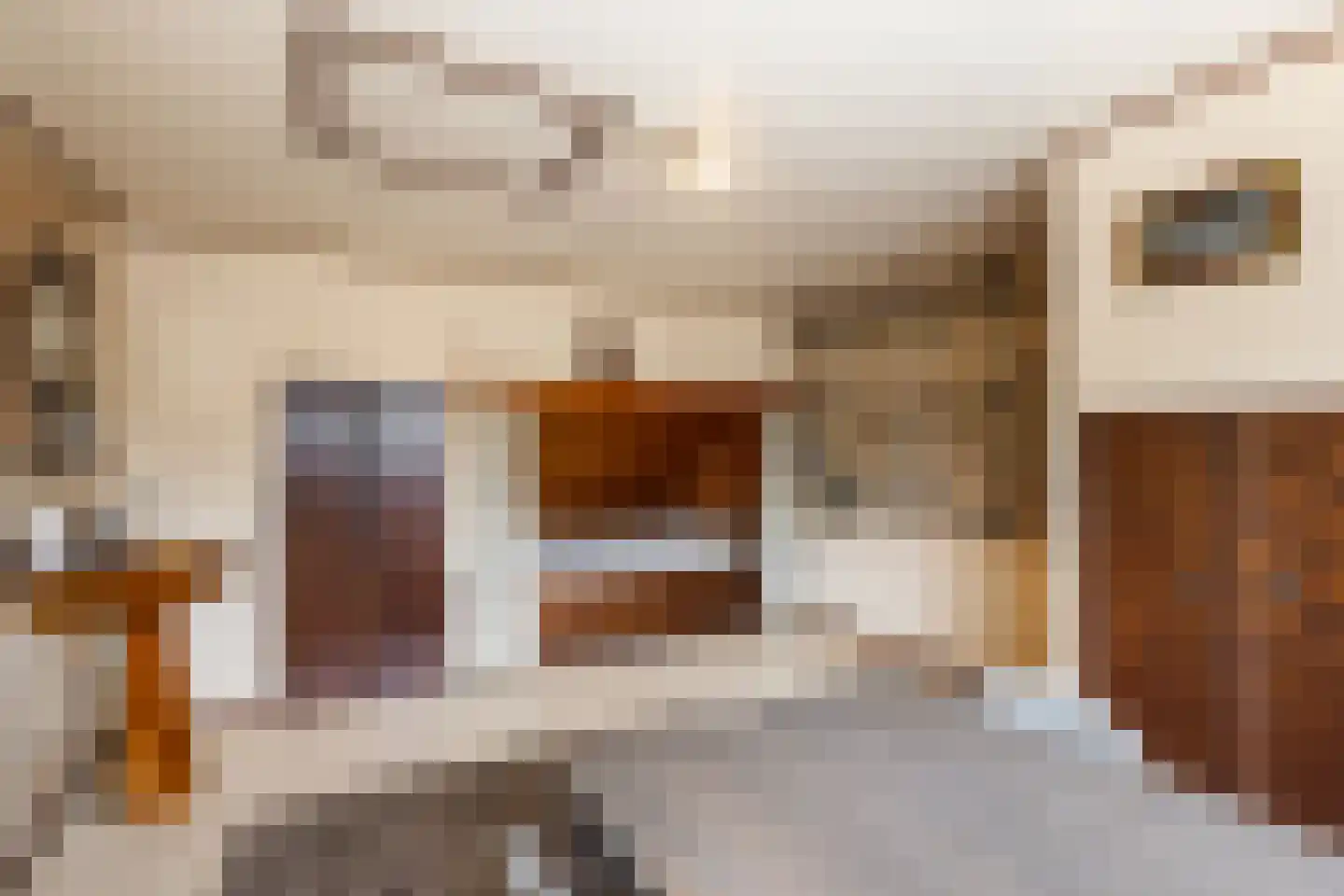 Merelstraat 9 Sliedrecht thumbnail 22