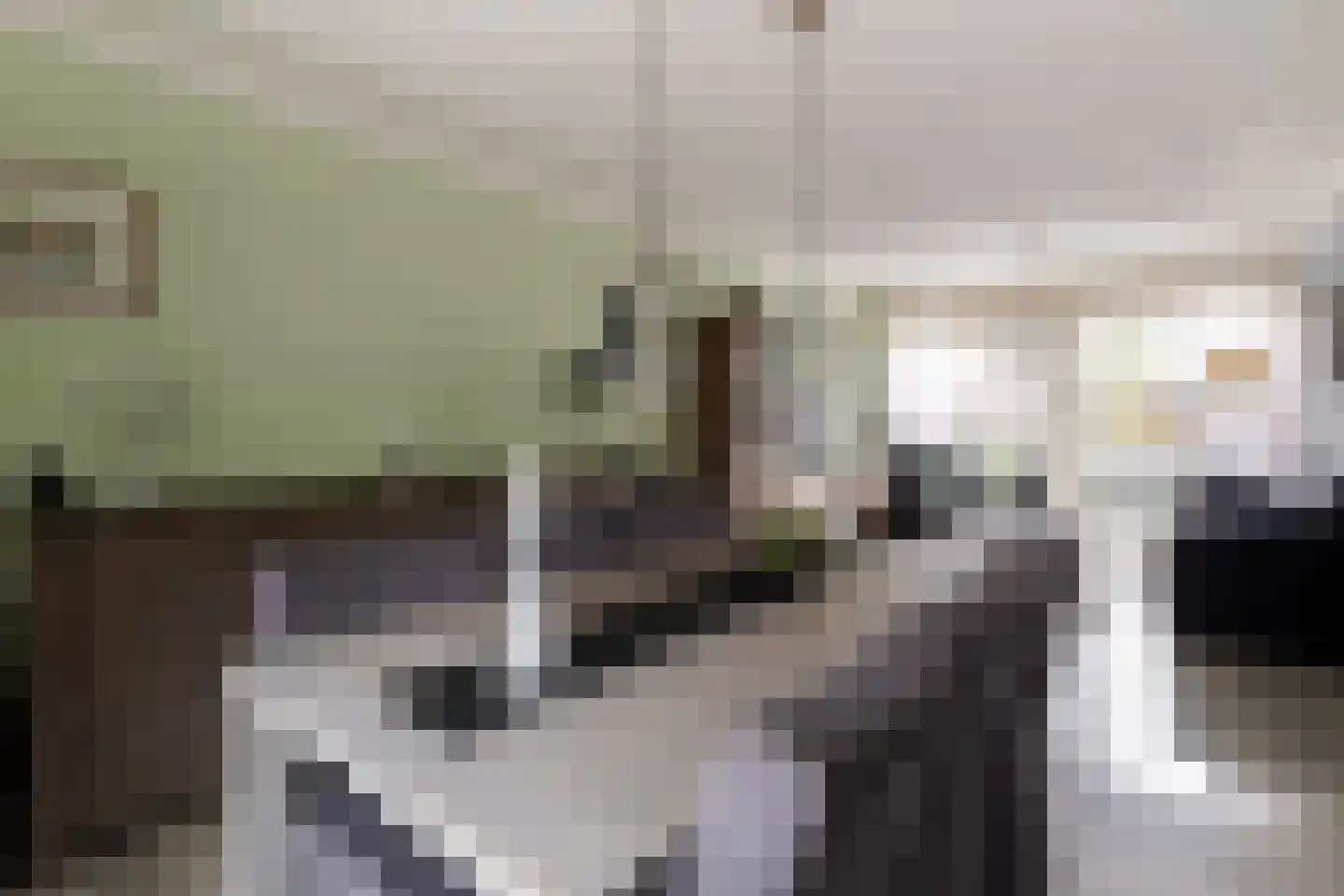 Merelstraat 9 Sliedrecht thumbnail 4
