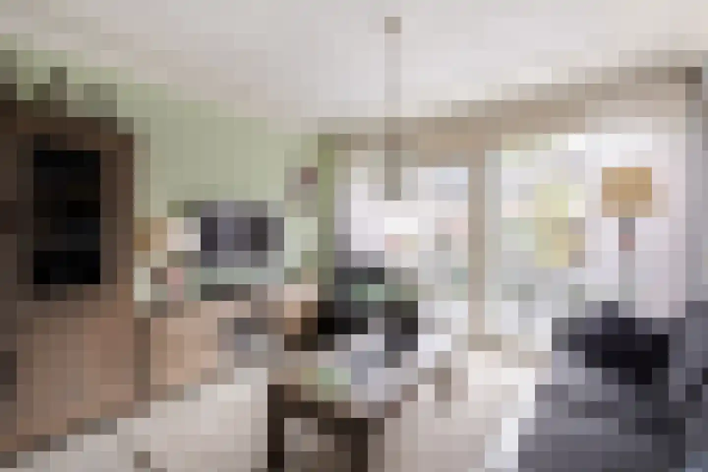 Merelstraat 9 Sliedrecht thumbnail 5