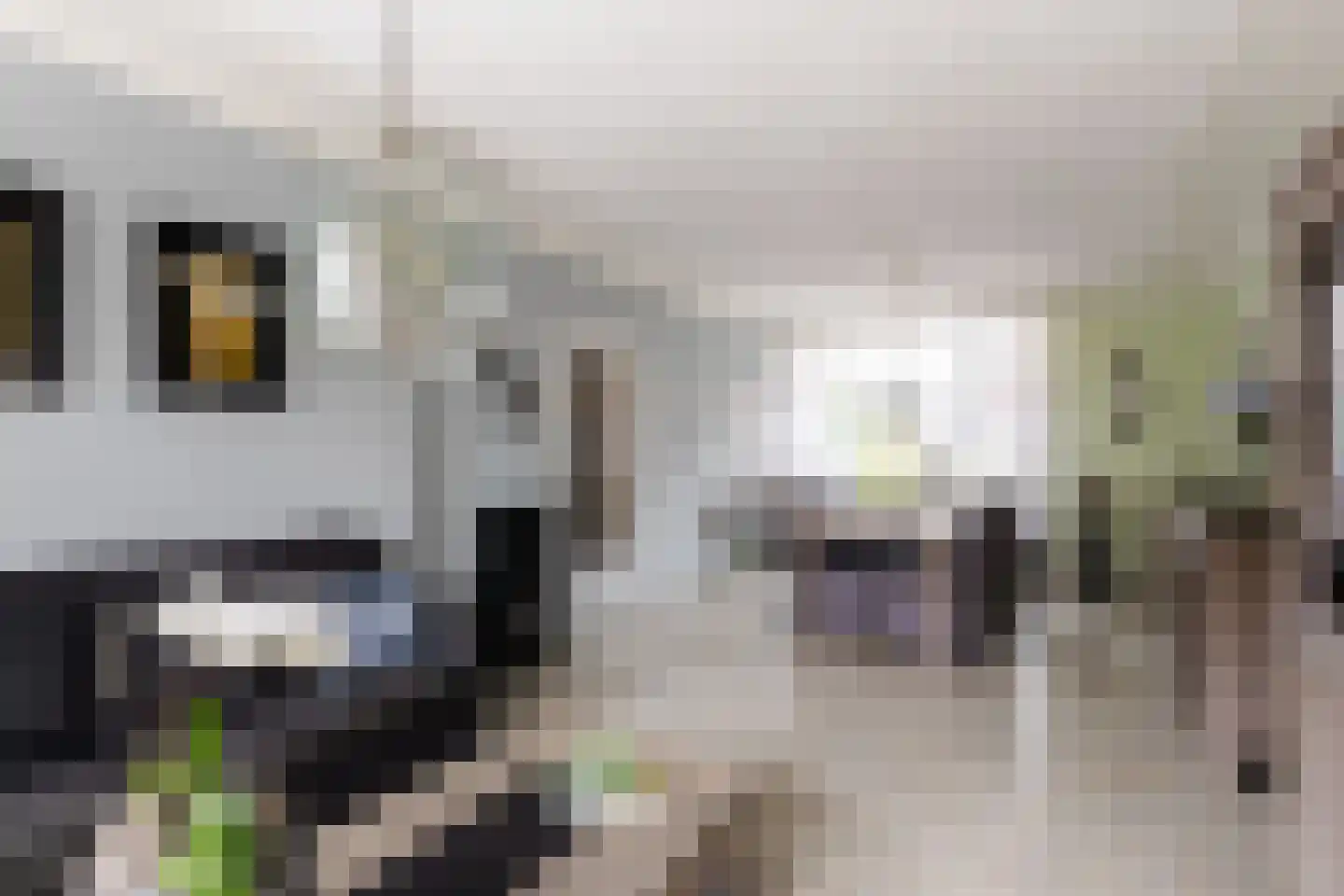 Merelstraat 9 Sliedrecht thumbnail 6