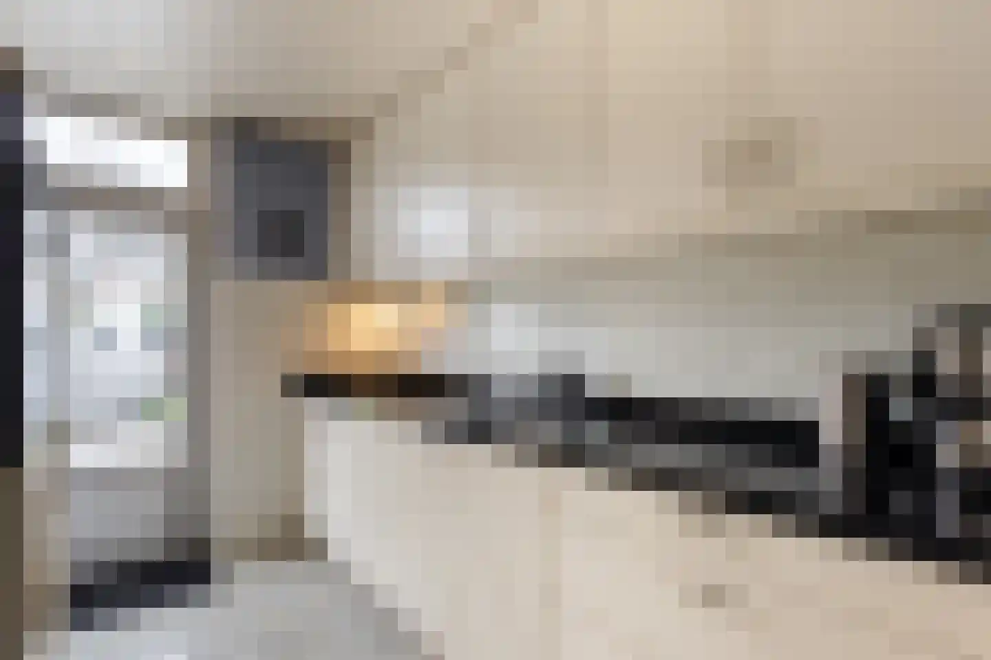 Merelstraat 9 Sliedrecht thumbnail 8