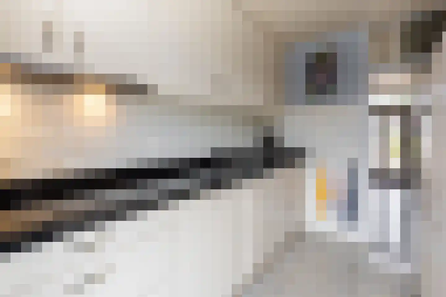 Merelstraat 9 Sliedrecht thumbnail 9