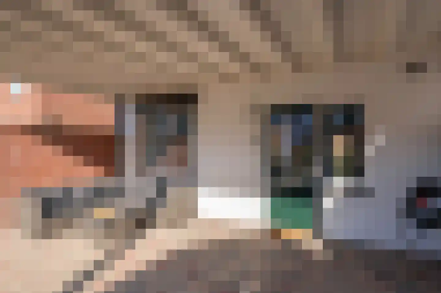 Merelstraat 9 Tegelen thumbnail 33