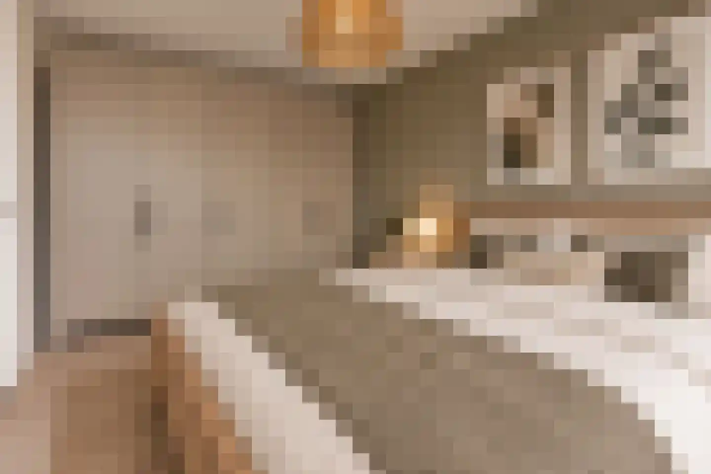 Merelstraat 96 Utrecht thumbnail 23