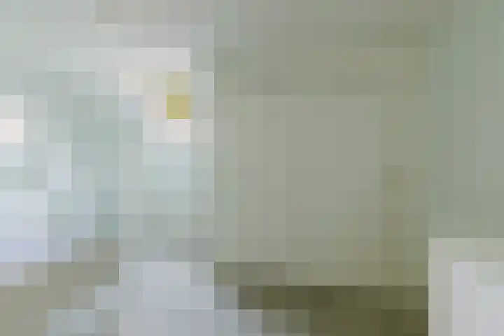 Mereltjesstraat 12 Wernhout thumbnail 23