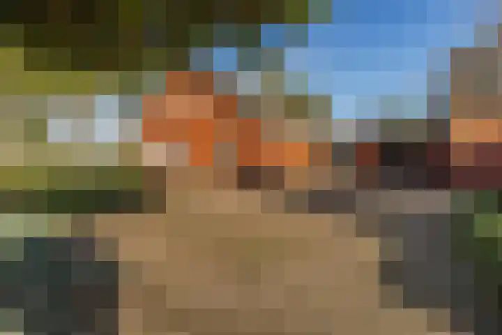 Mereltjesstraat 12 Wernhout thumbnail 8