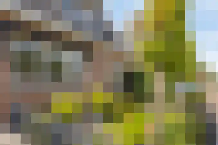 Merelweg 1 Hengelo thumbnail 10