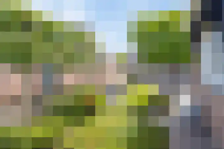 Merelweg 1 Hengelo thumbnail 11