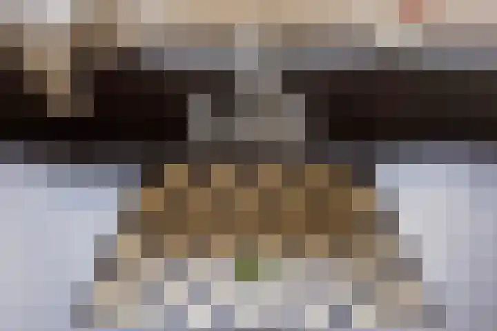 Merelweg 1 Hengelo thumbnail 26