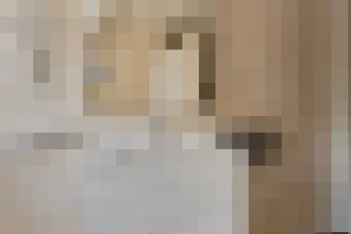 Merelweg 1 Hengelo thumbnail 34