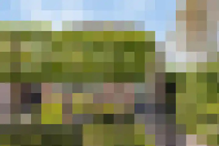 Merelweg 1 Hengelo thumbnail 7