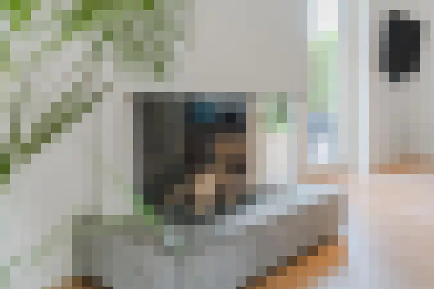 Merelweg 1 Mill thumbnail 14