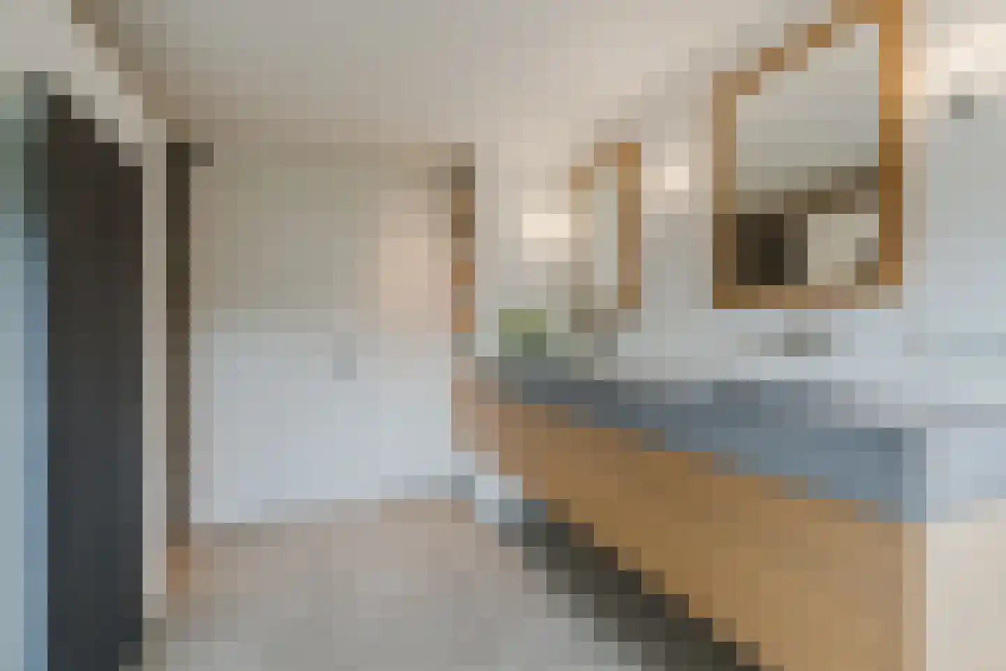 Merelweg 1 Mill thumbnail 28