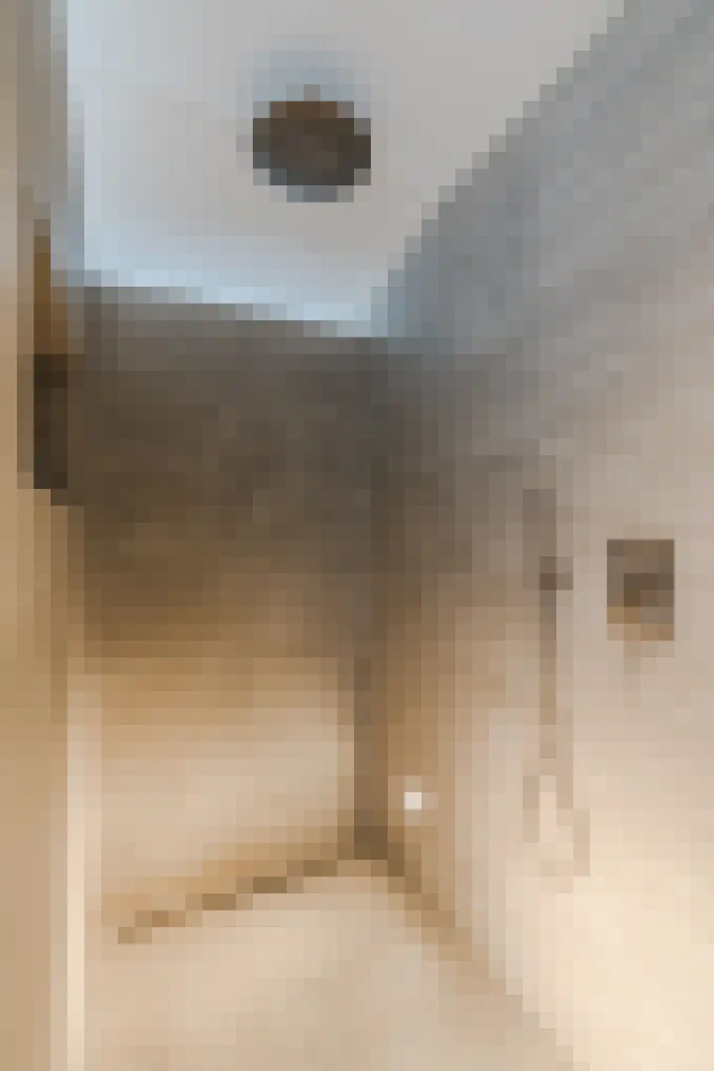 Merelweg 1 Mill thumbnail 29