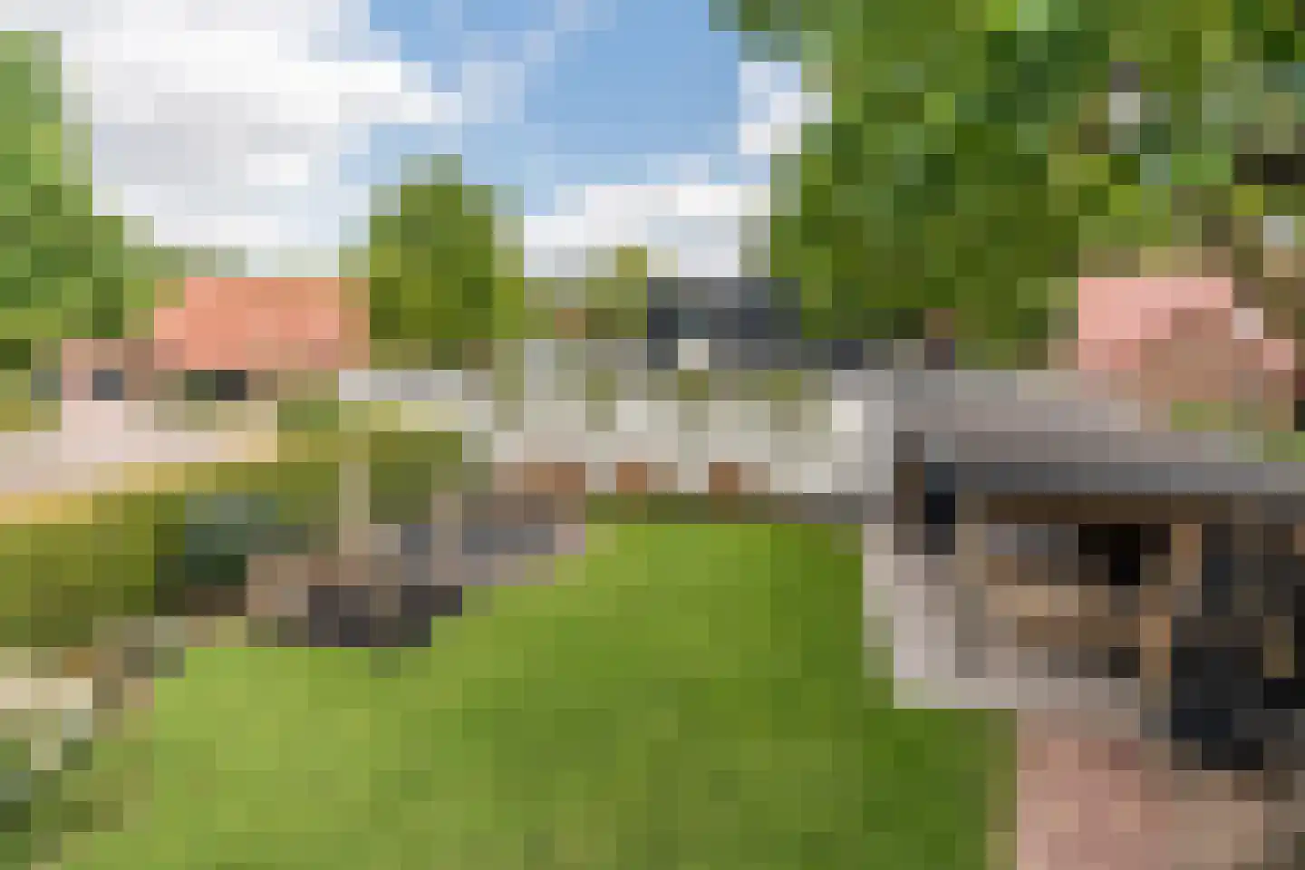 Merelweg 1 Mill thumbnail 33