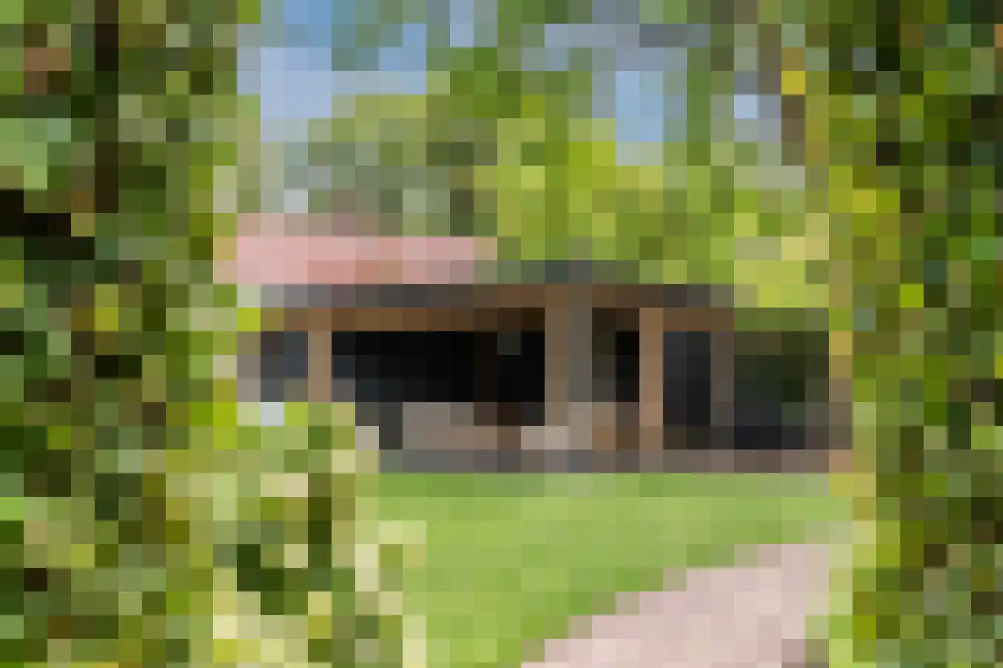 Merelweg 1 Mill thumbnail 37