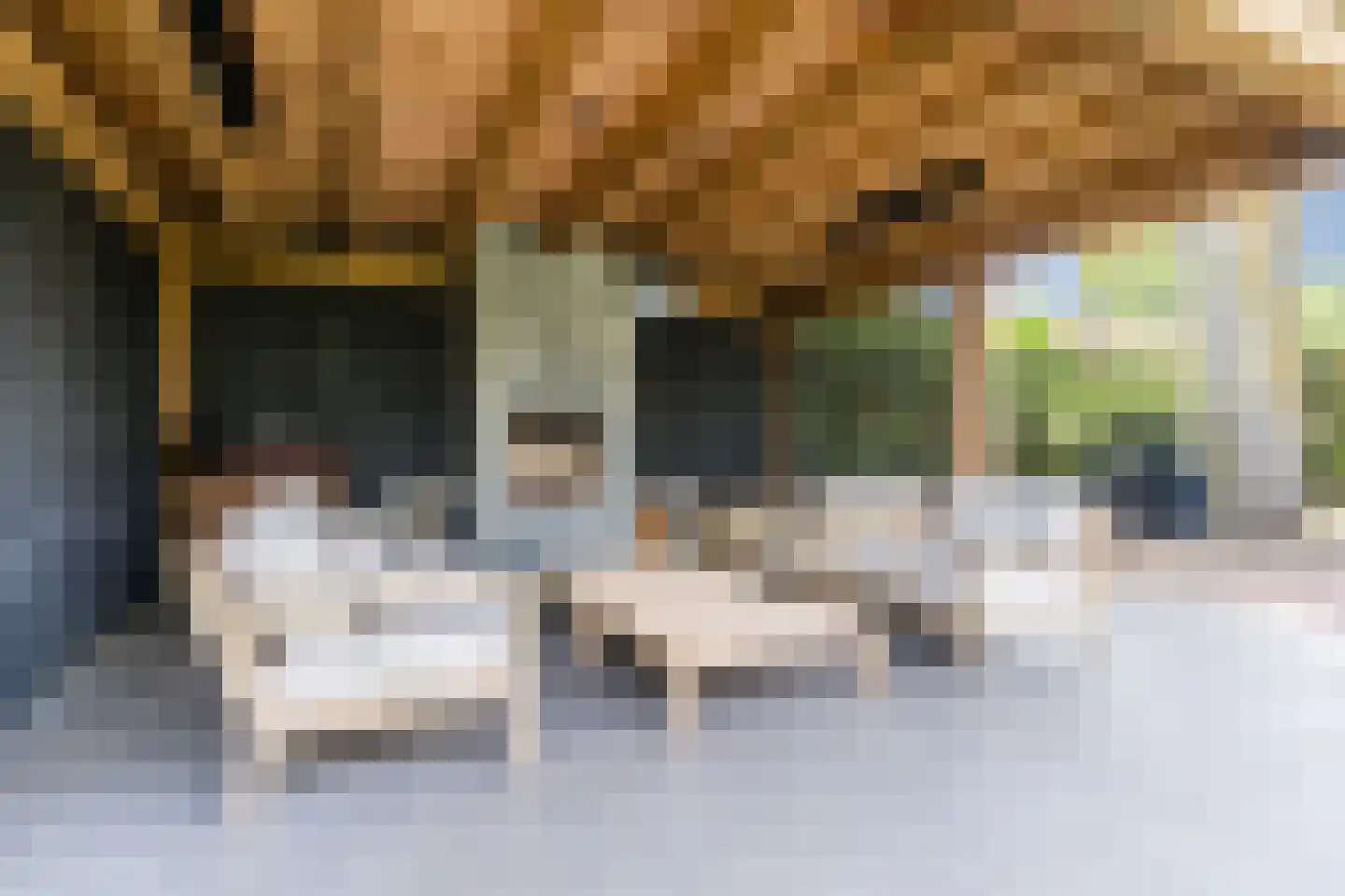 Merelweg 1 Mill thumbnail 41
