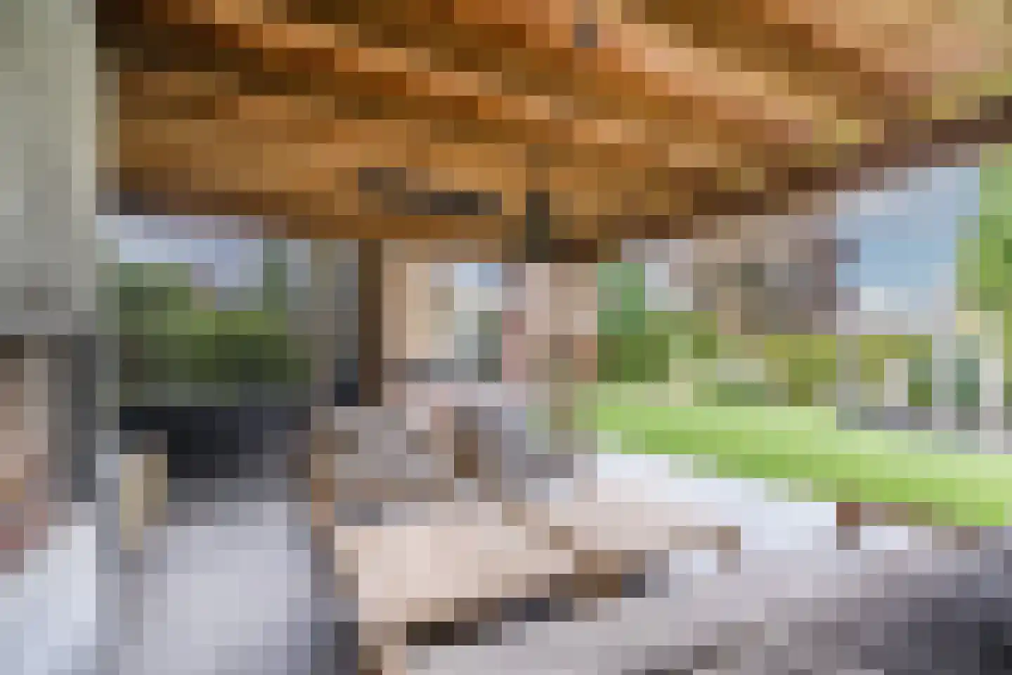 Merelweg 1 Mill thumbnail 42