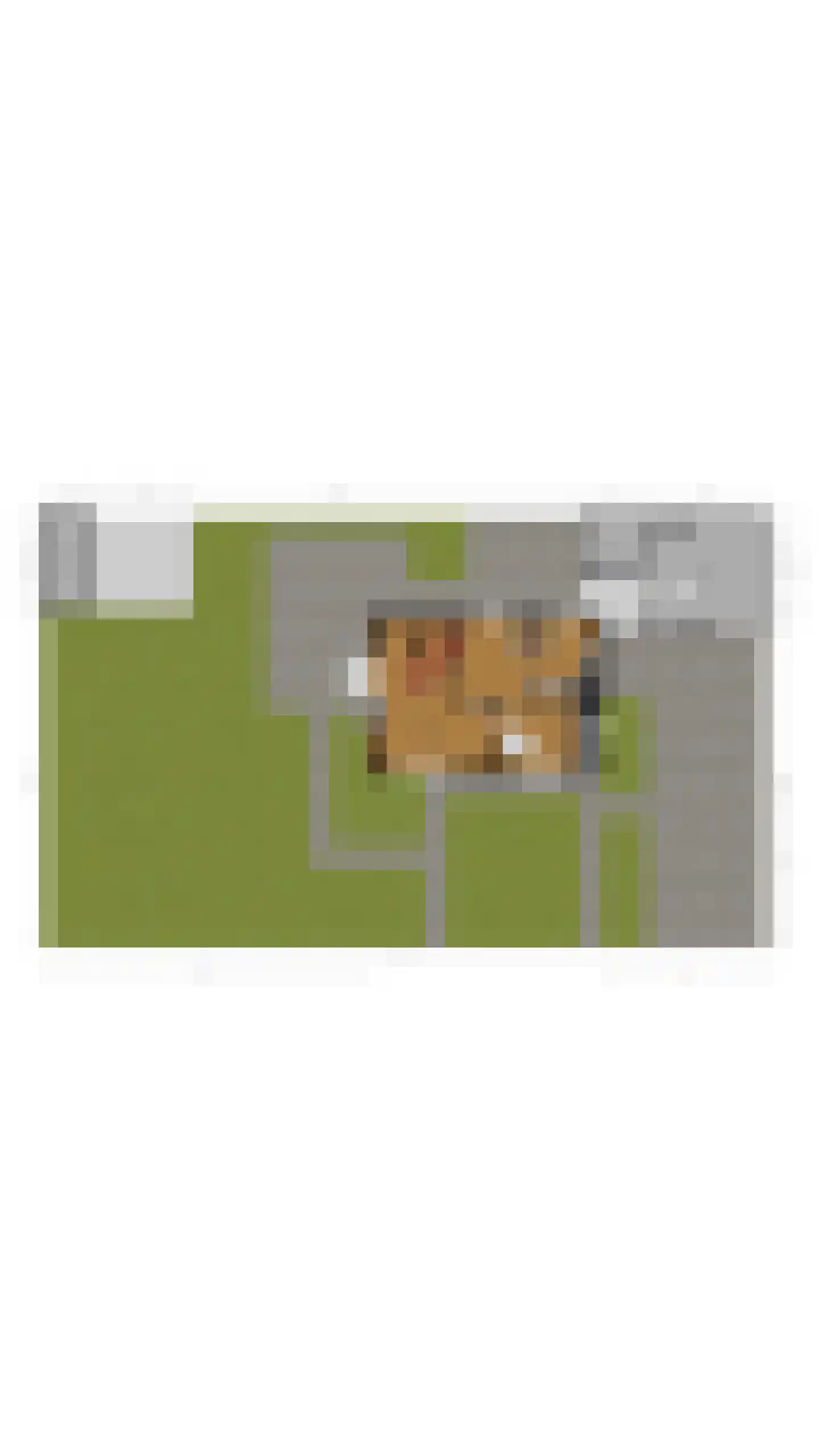 Merelweg 1 Mill thumbnail 46