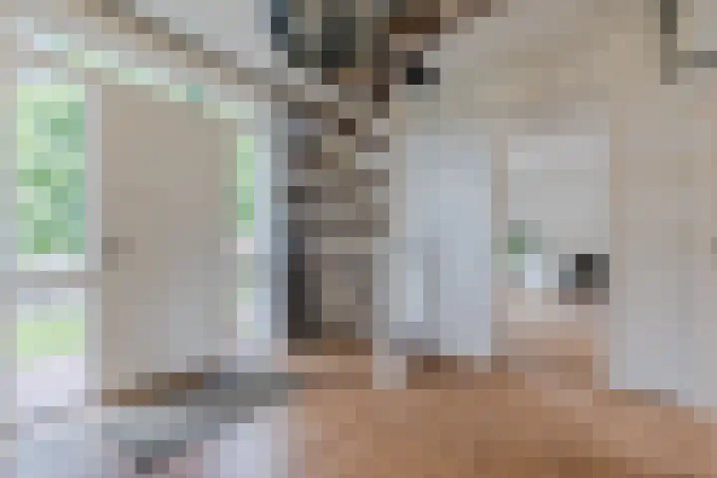 Merelweg 1 Mill thumbnail 9