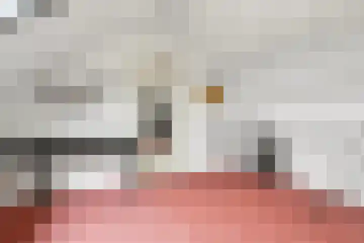 Merelweg 14 Nijverdal thumbnail 22