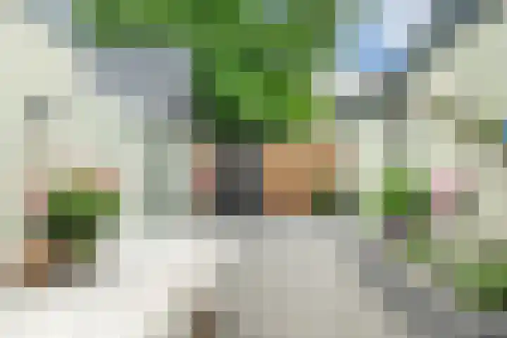 Merelweg 19 Nijverdal thumbnail 26