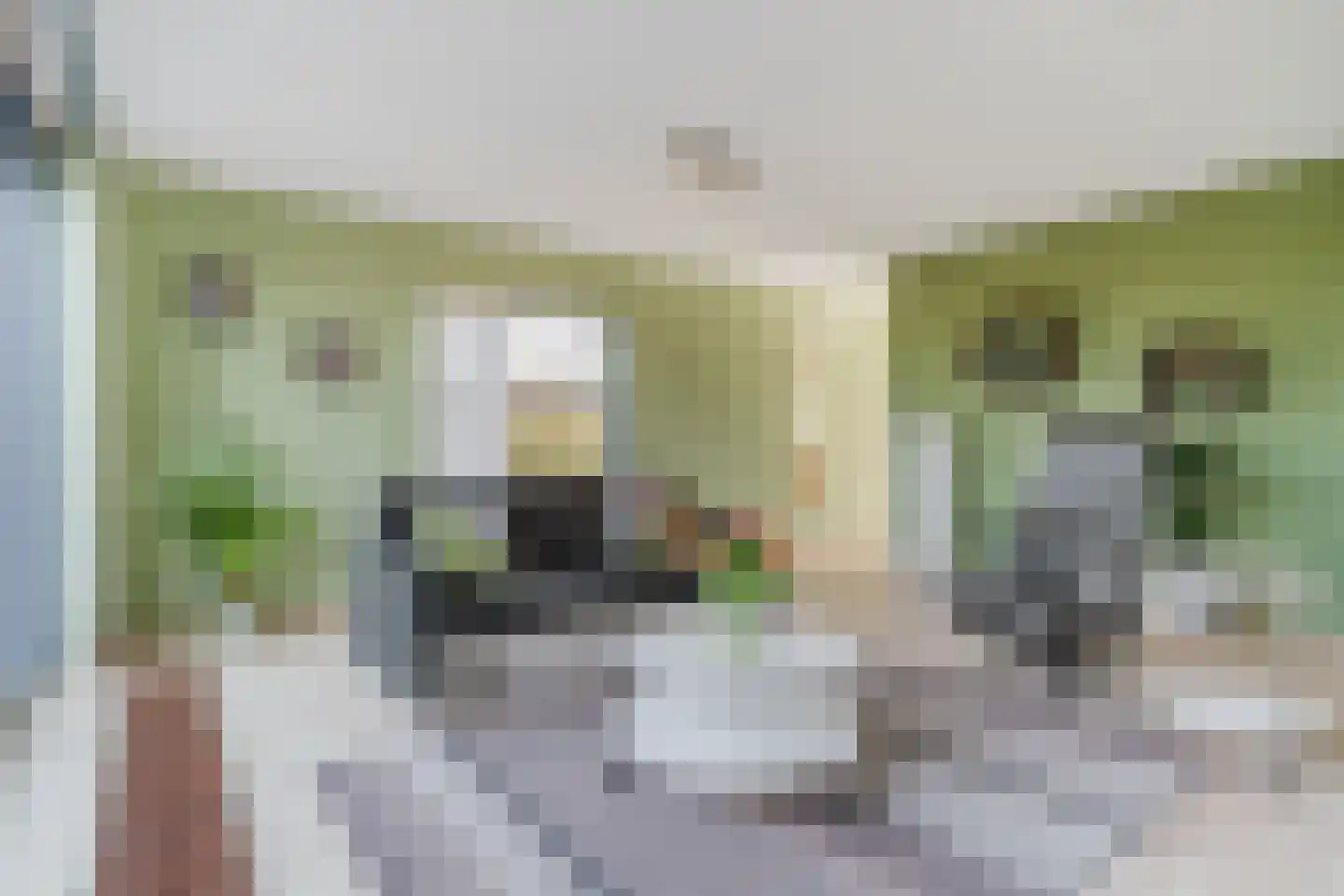 Merelweg 2 Culemborg thumbnail 10
