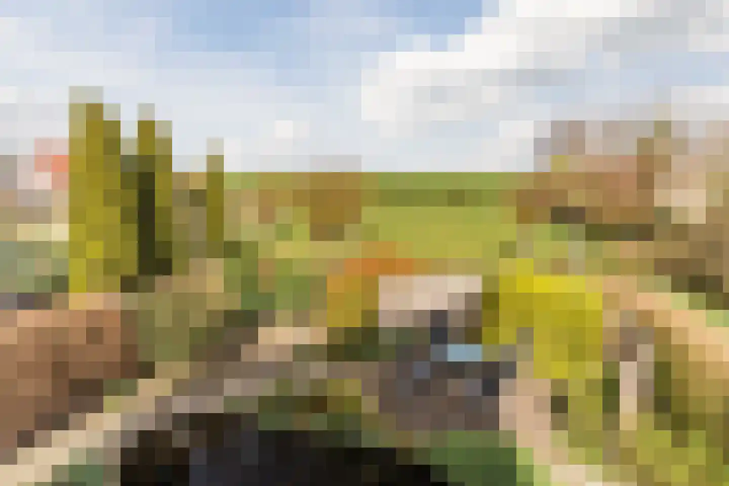 Merelweg 2 Culemborg thumbnail 29