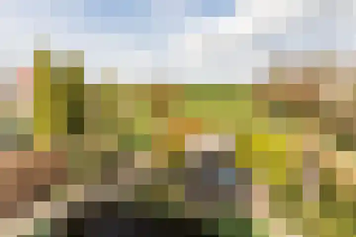Merelweg 2 Culemborg thumbnail 29