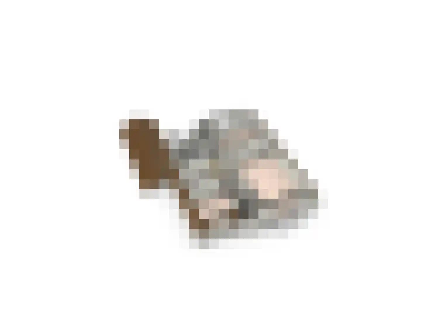 Merelweg 2 Culemborg thumbnail 31