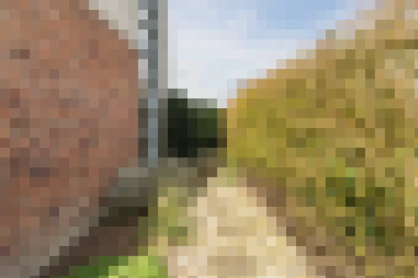 Merelweg 2 Culemborg thumbnail 32