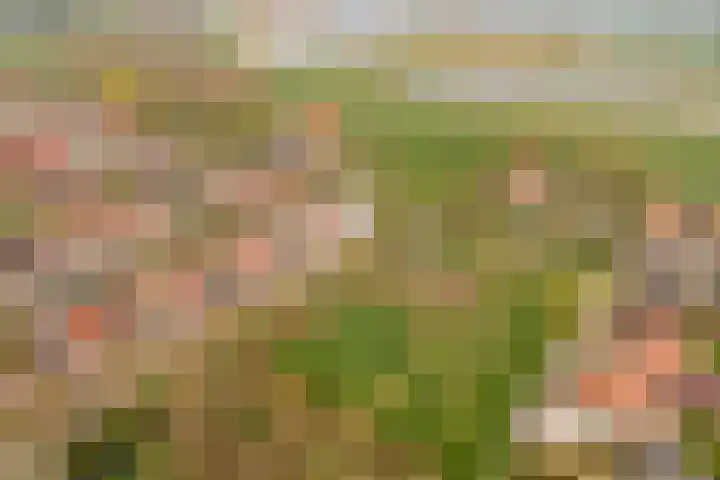 Merelweg 2 Culemborg thumbnail 36