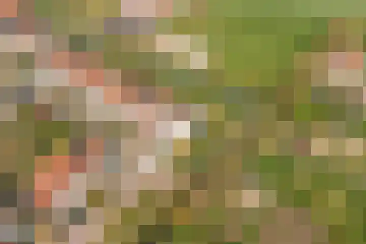 Merelweg 2 Culemborg thumbnail 37