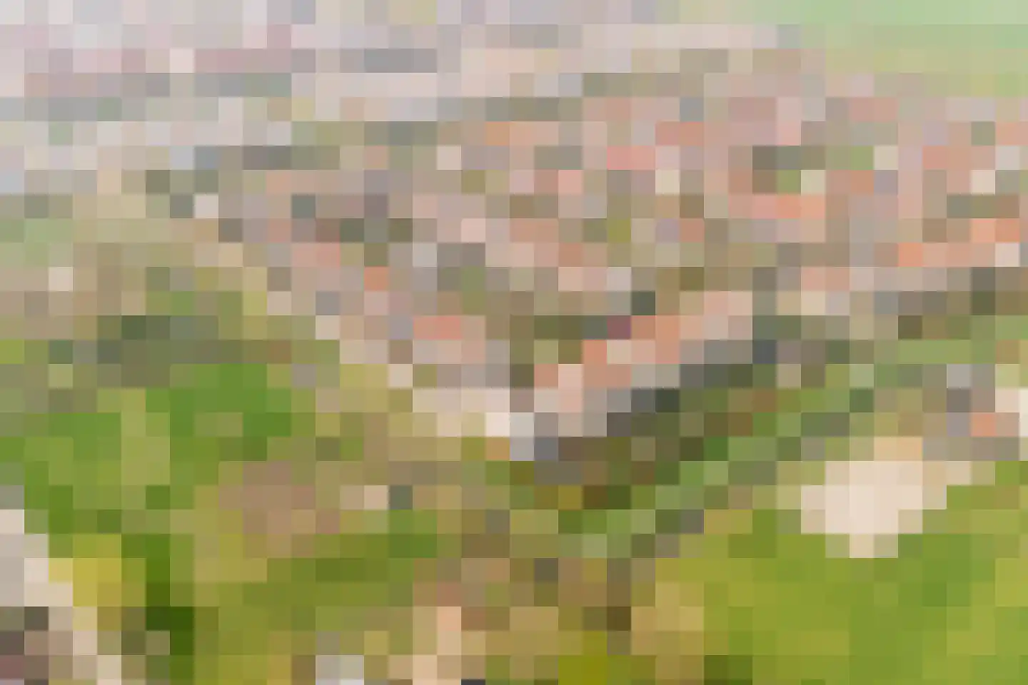Merelweg 2 Culemborg thumbnail 38