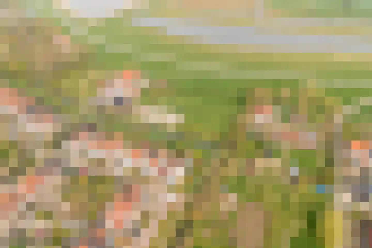 Merelweg 2 Culemborg thumbnail 4
