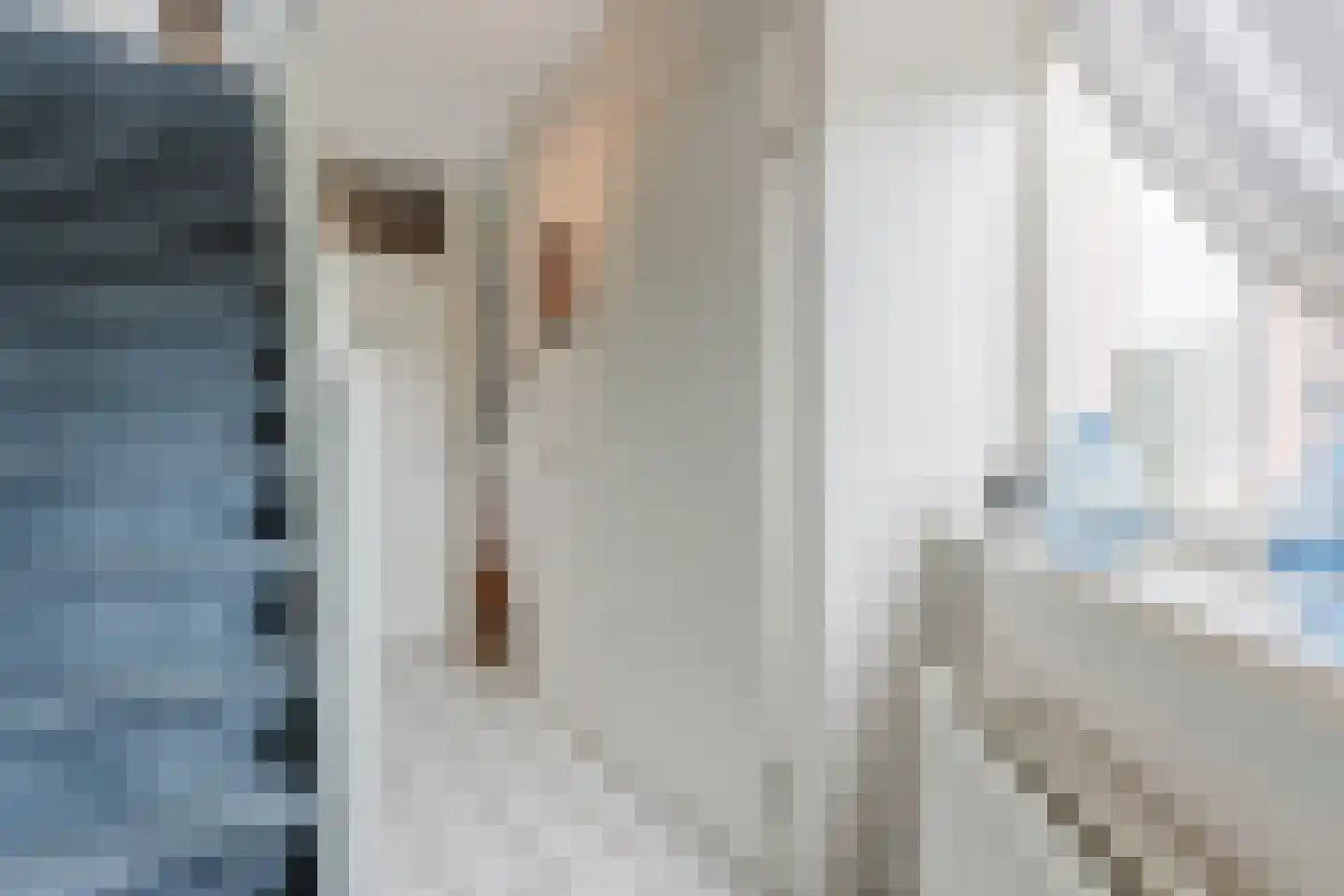 Merelweg 20 Wapenveld thumbnail 15