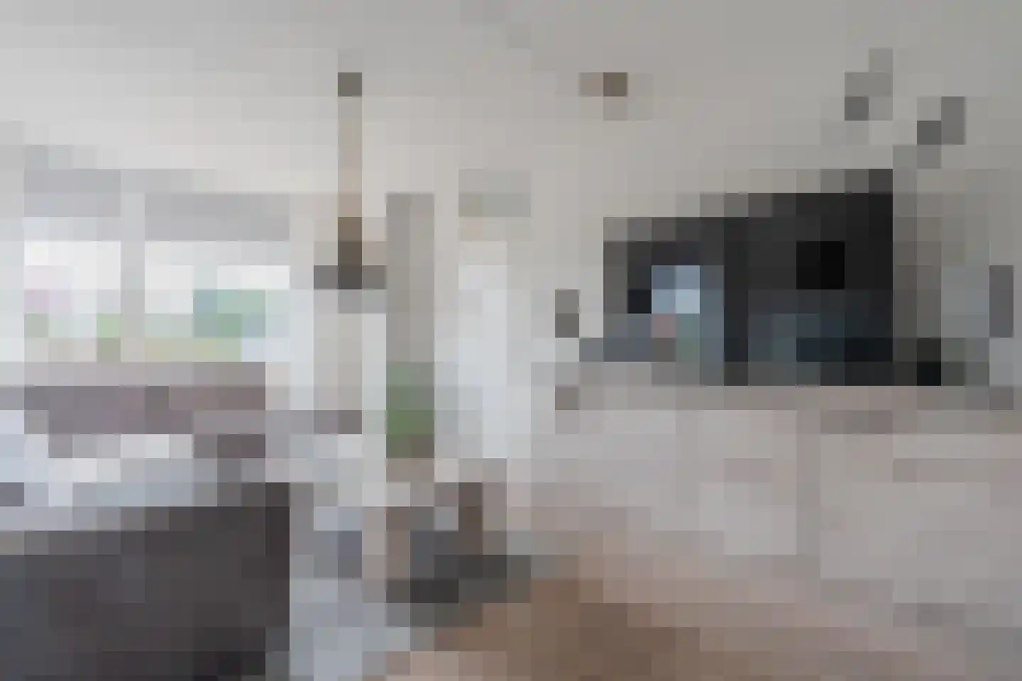 Merelweg 20 Wapenveld thumbnail 4