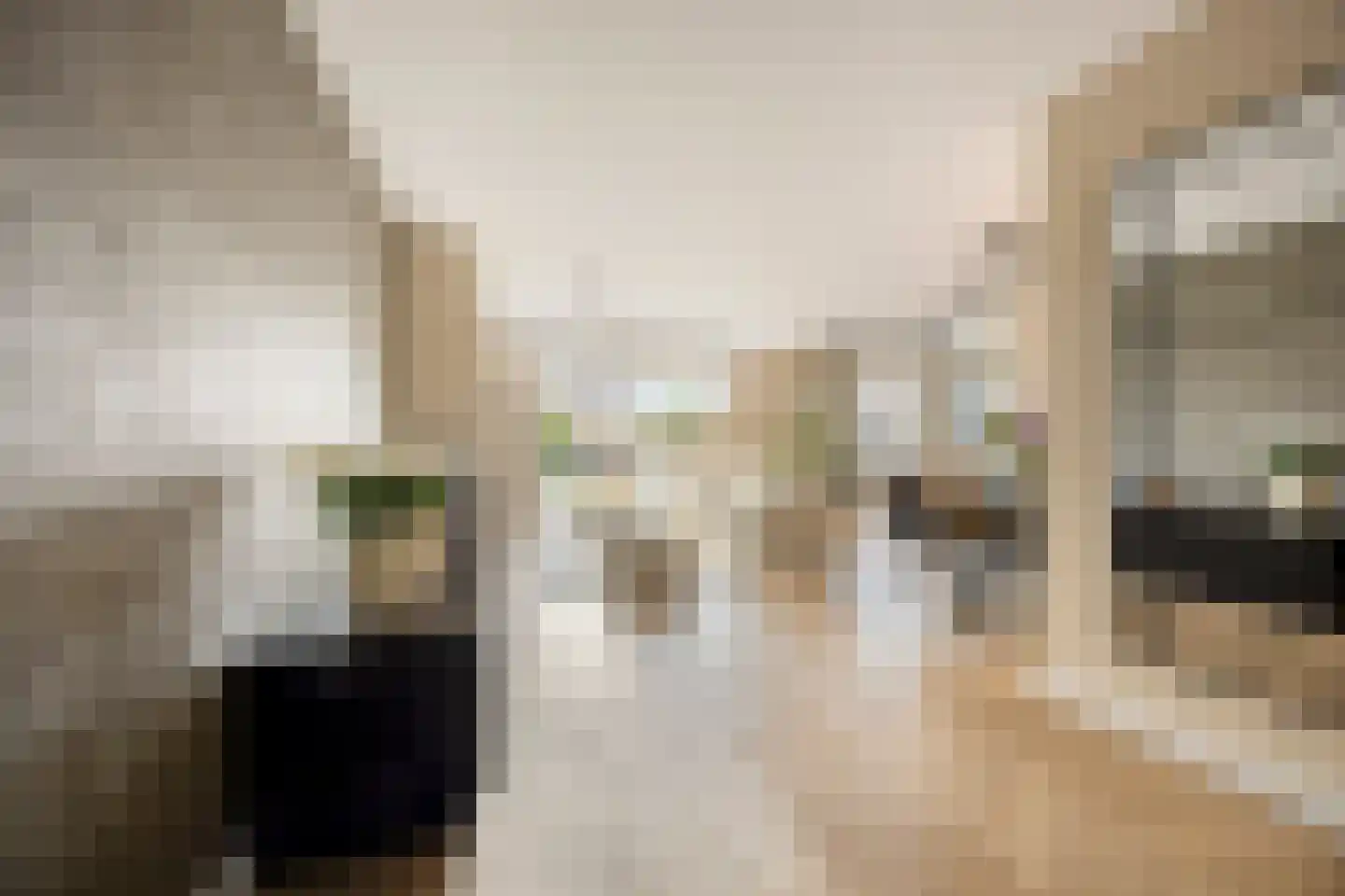 Merelweg 22 Heerhugowaard thumbnail 10