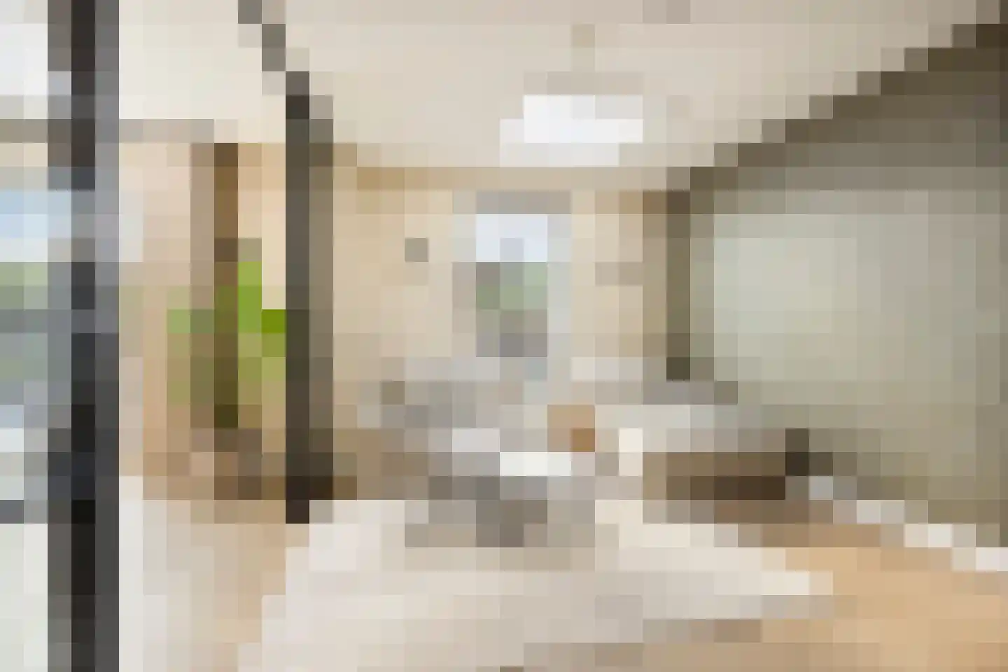 Merelweg 22 Heerhugowaard thumbnail 16