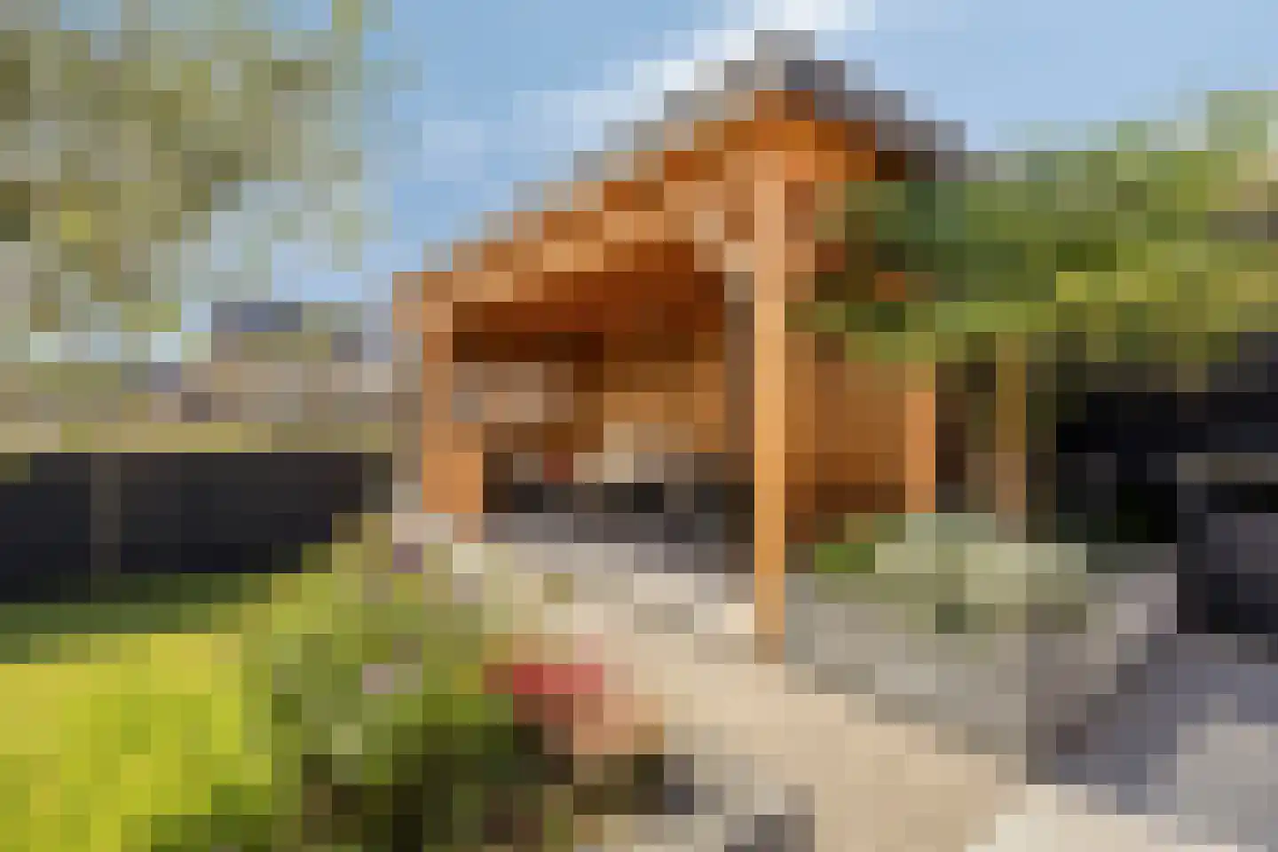 Merelweg 22 Heerhugowaard thumbnail 6