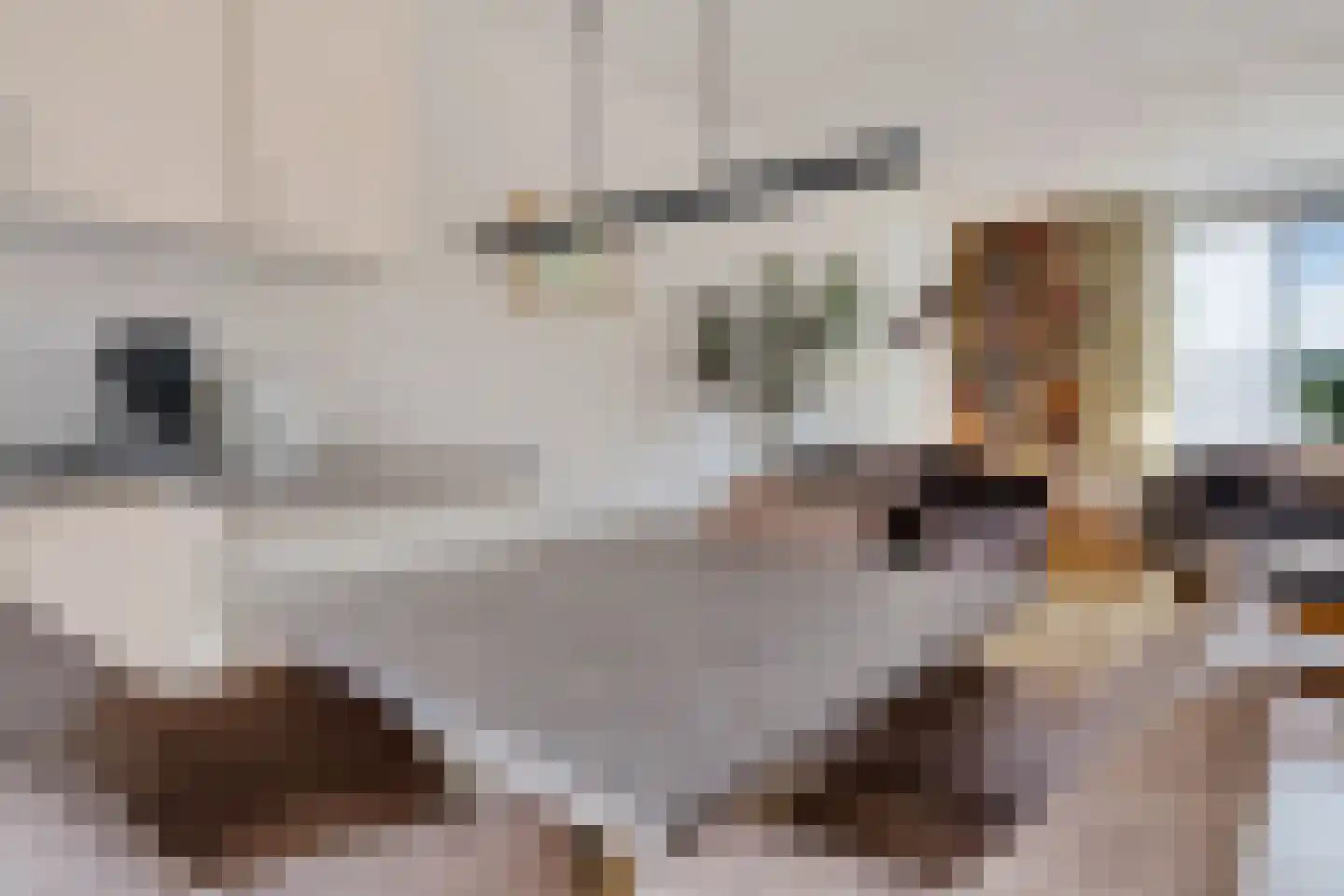 Merelweg 3 Hengelo thumbnail 13