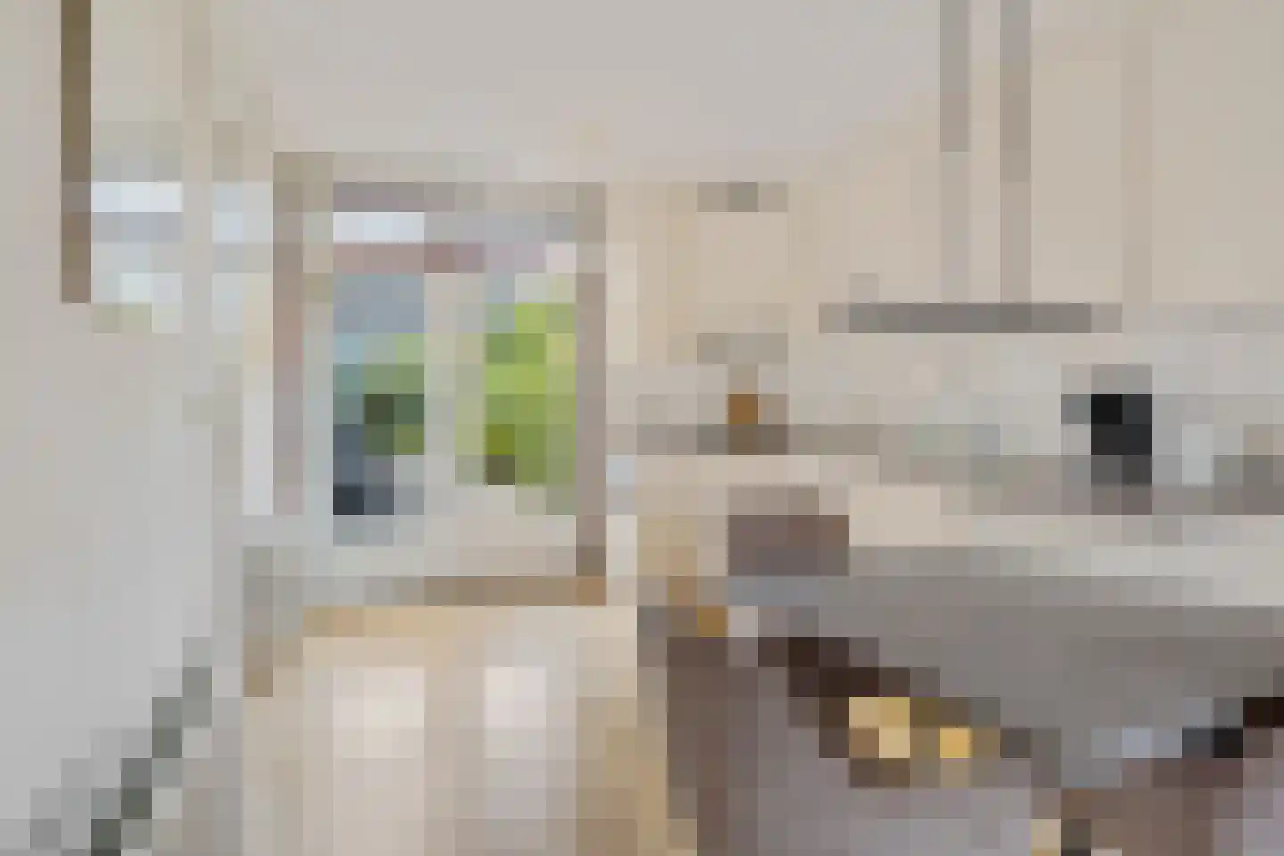 Merelweg 3 Hengelo thumbnail 14