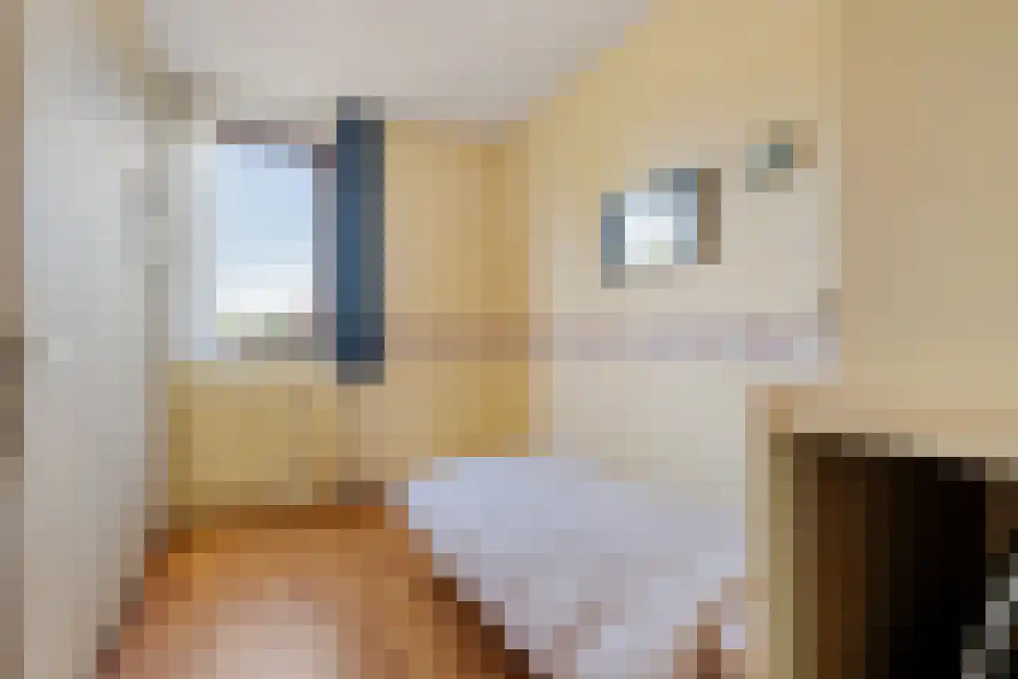 Merelweg 3 Hengelo thumbnail 21