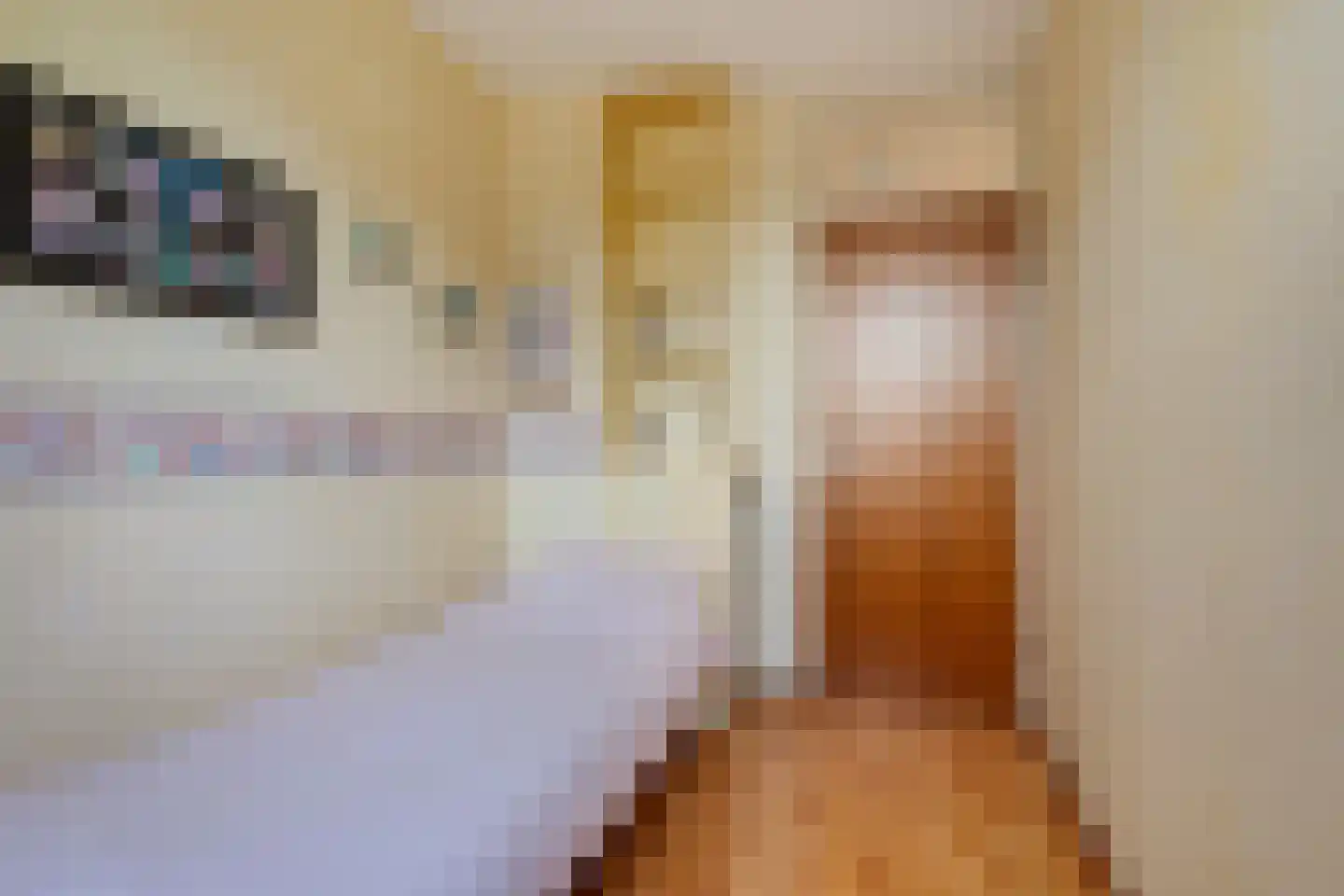 Merelweg 3 Hengelo thumbnail 22