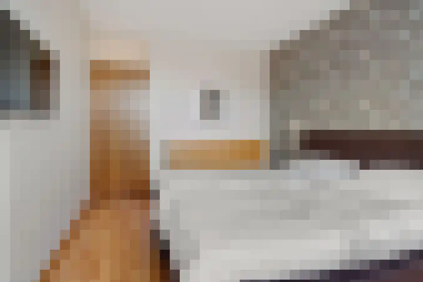Merelweg 3 Hengelo thumbnail 24