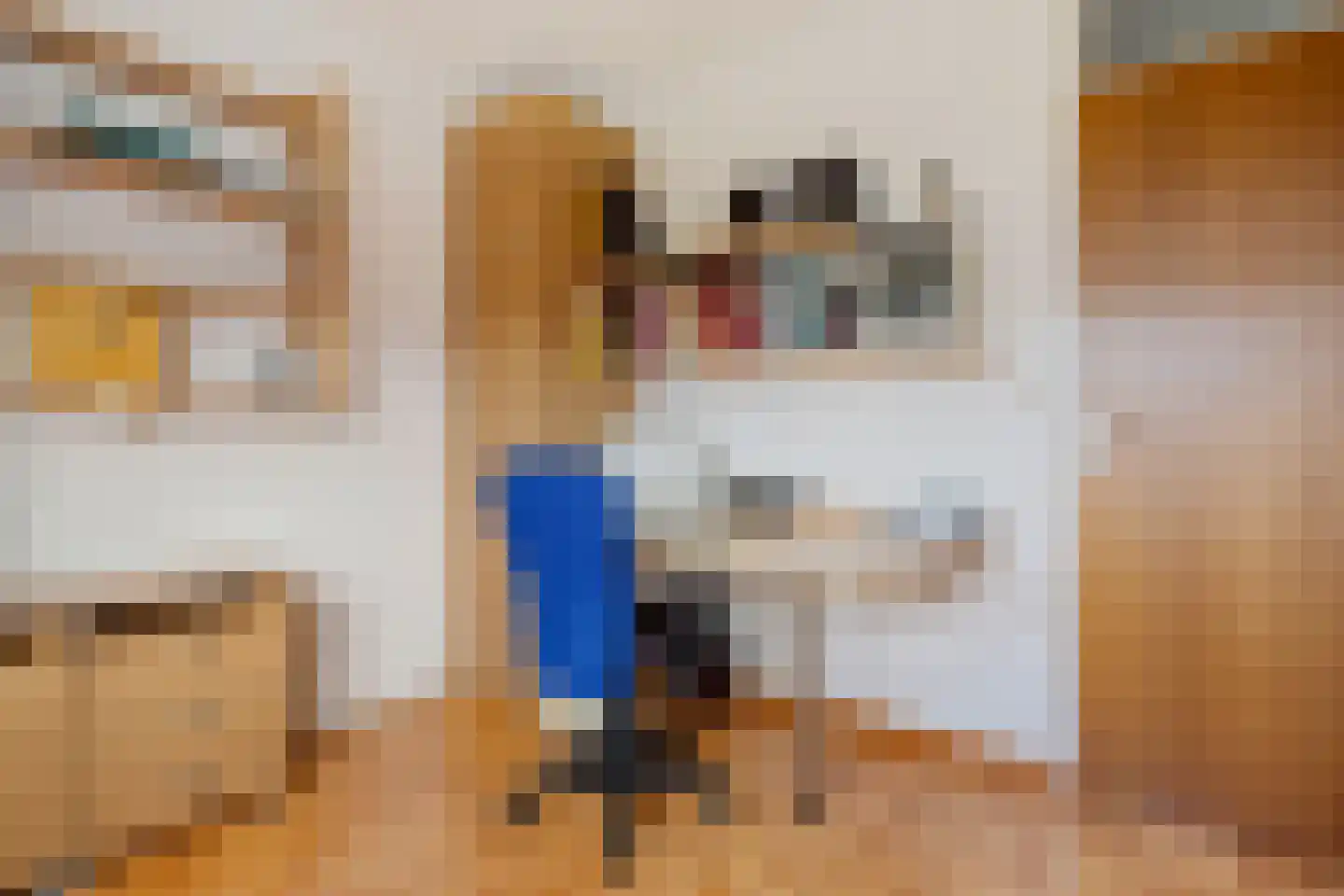 Merelweg 3 Hengelo thumbnail 26